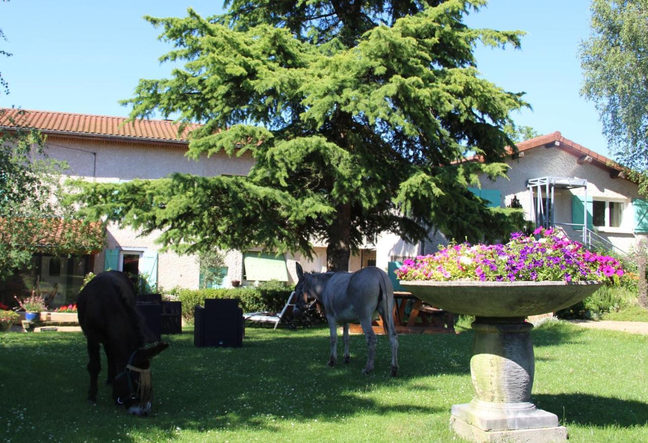 Bed and Breakfast La Ferme De Capucine Culhat Esterno foto