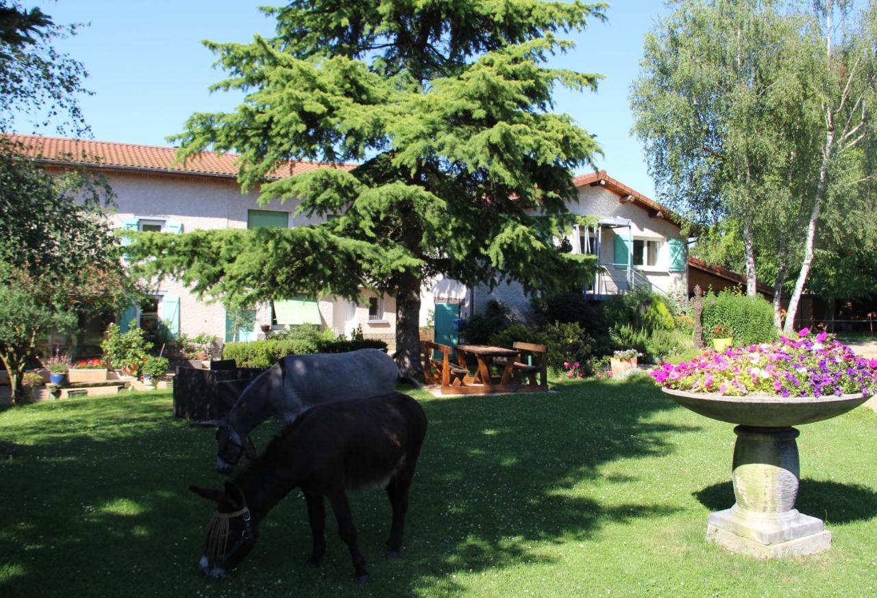 Bed and Breakfast La Ferme De Capucine Culhat Esterno foto